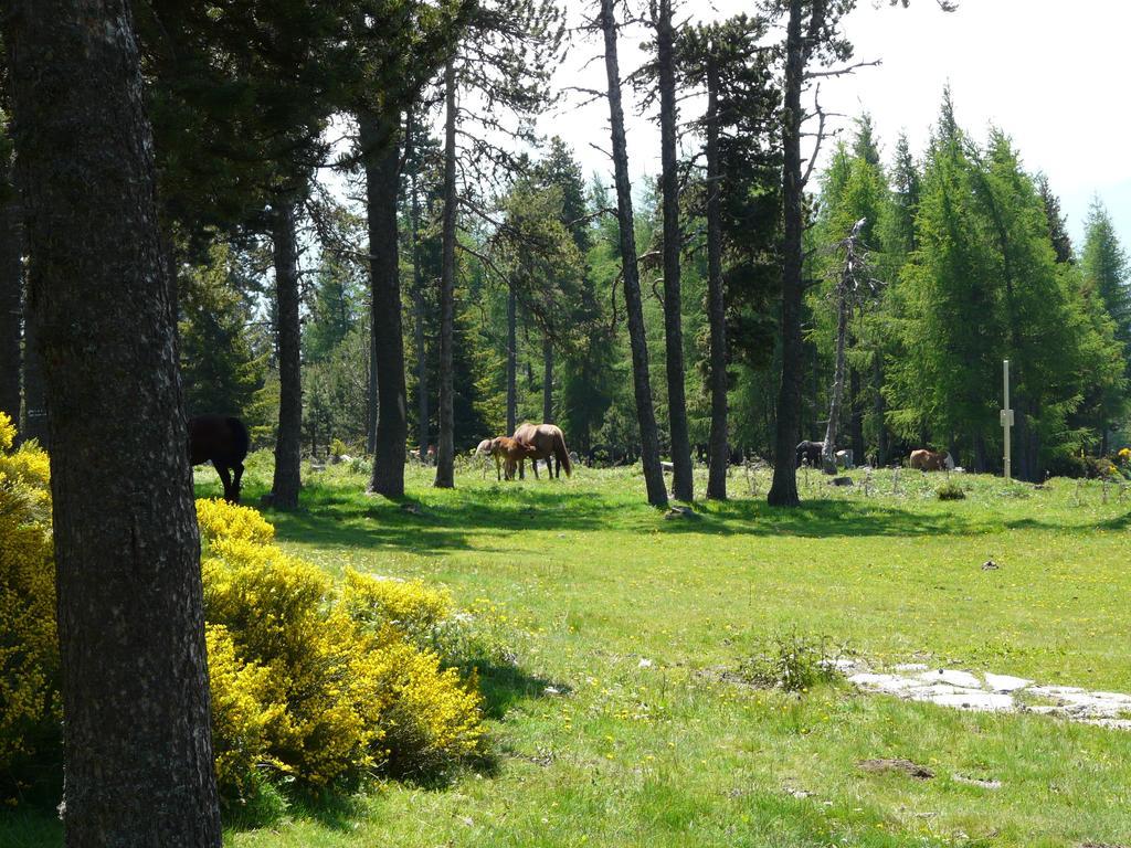 Font Romeu Via  Lejlighed Værelse billede